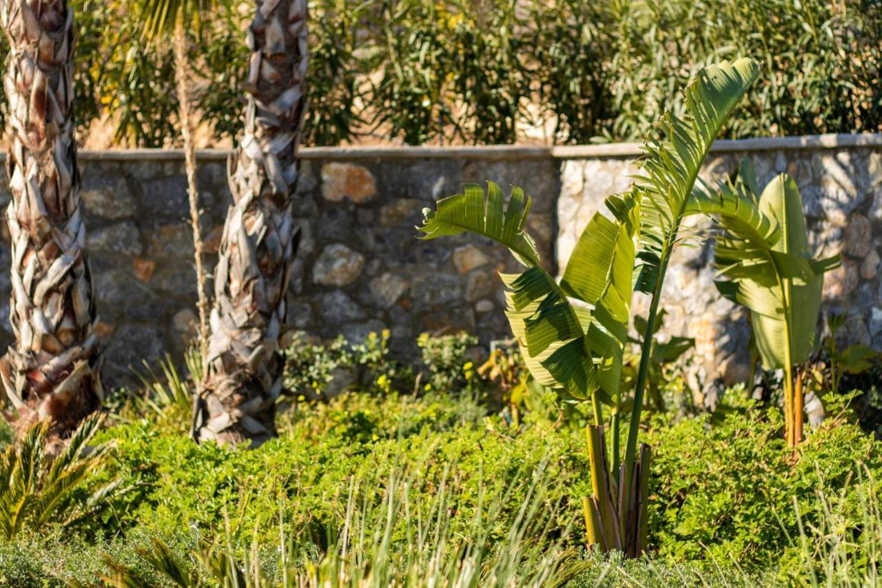 Villa Istia Luxury *