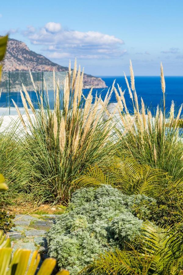 Villa Istia Luxury *